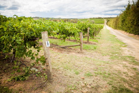 Grove Estate Wines - Accommodation QLD 0