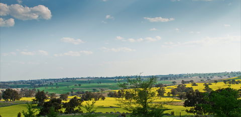 Harden Murrumburrah - Accommodation QLD 1