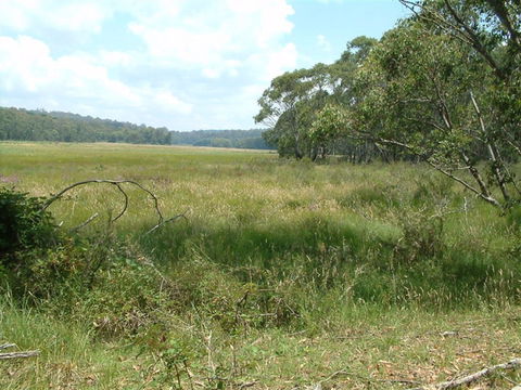 Hume And Hovell Walking Track - Accommodation QLD 2
