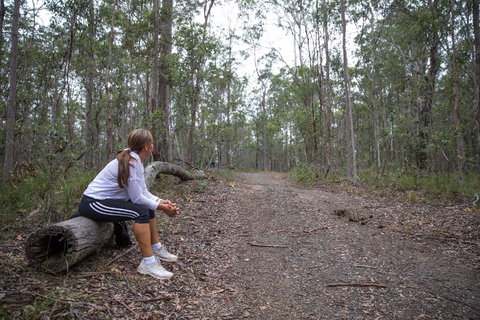 Ironbark Ridge And Spotted Gum Walking Trails - Accommodation QLD 1