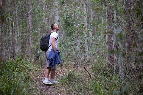 Ironbark Ridge And Spotted Gum Walking Trails - Accommodation QLD 2