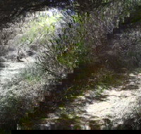 Jack And Hilda McArthur Walk - Accommodation QLD