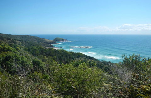 Jack Perkins Walking Track - Accommodation QLD 0
