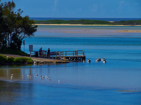 Kayaking Tuross Lake - Accommodation QLD 1