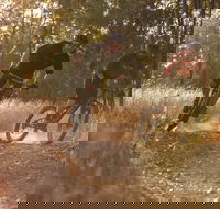 Kholo Gardens Trails - Accommodation QLD