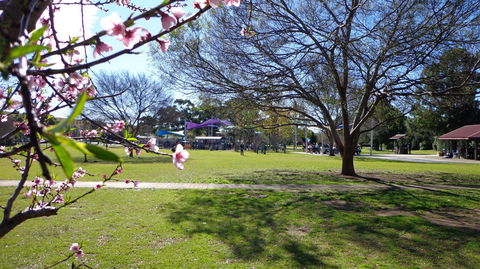 Koshigaya Park - Accommodation QLD 0