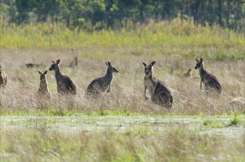 Kosciuszko National Park - Accommodation QLD 2