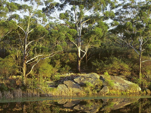 Lake Parramatta Reserve And Recreation Area - Accommodation QLD 1