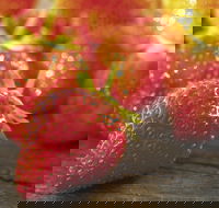 Lambs Valley - Accommodation QLD