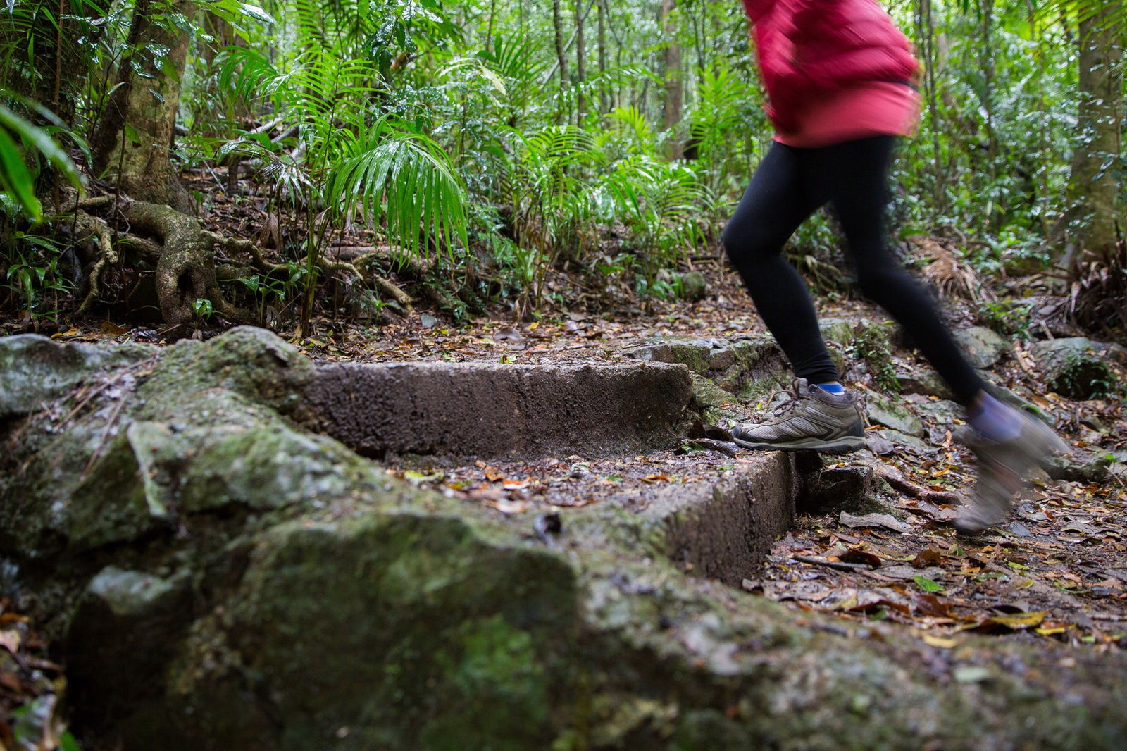 Mount Glorious QLD Accommodation QLD