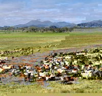 Marlborough - Accommodation QLD