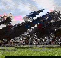 Moruya Racecourse - Accommodation QLD