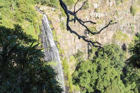 Morans Falls Track, Lamington National Park - Accommodation QLD 0