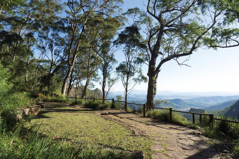 Morans Falls Track, Lamington National Park - Accommodation QLD 1