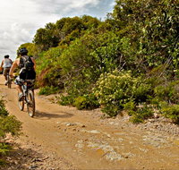 Mountain Biking Trails - Accommodation QLD