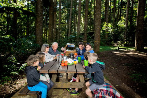 Mount Yarrahapinni Lookout - Accommodation QLD 1