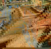 Mountain Maid gold mine - Accommodation QLD