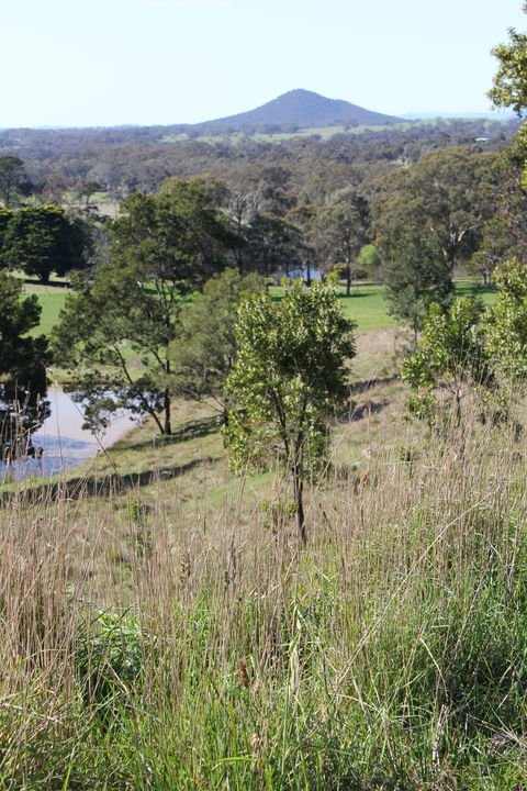 Mt Piper Nature Conservation Reserve - Accommodation QLD 1