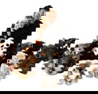 Nanas Teddies and Toys - Accommodation QLD