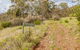 Old Mountain Road Walking Track - thumb 0