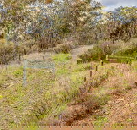 Old Mountain Road Walking Track - Accommodation QLD