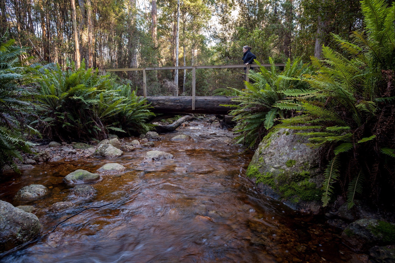 Gowrie Park TAS Accommodation QLD