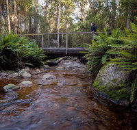 O'Neills Creek picnic reserve - Accommodation QLD