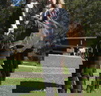 Otford Farm Horse Riding - Accommodation QLD