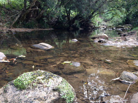 Otford Farm Horse Riding - Accommodation QLD 2