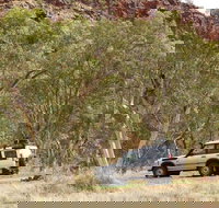 Owen Springs Reserve - Accommodation QLD