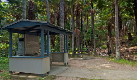 Palms Picnic Area - Accommodation QLD 1