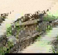 Pebbly Beach to Snake Bay walking track - Accommodation QLD