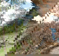 Pilliga National Park - Accommodation QLD