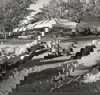 Pioneer Park - Accommodation QLD