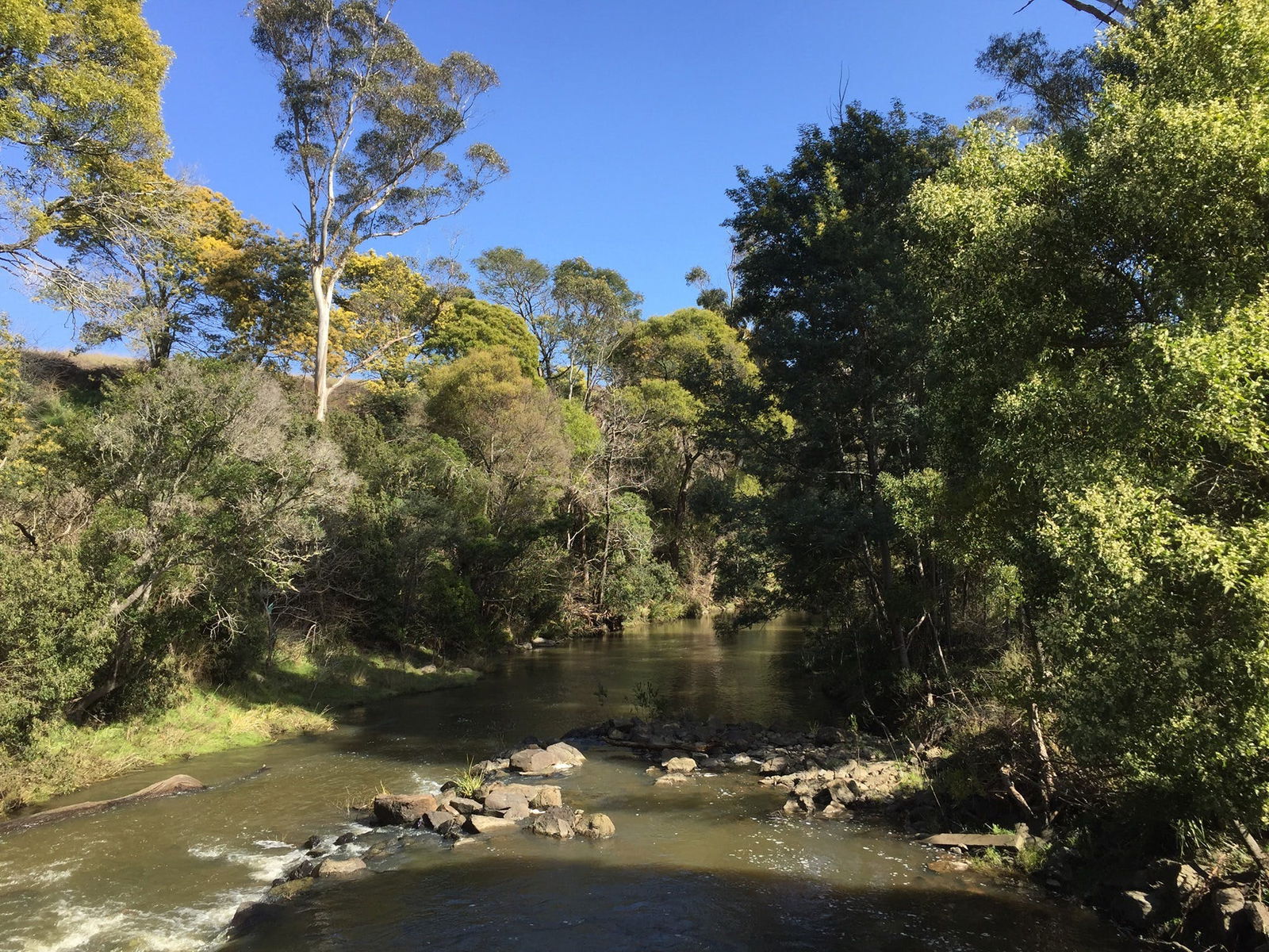 Pipers River TAS Accommodation QLD