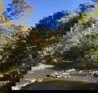 Pipers River Board Walk - Accommodation QLD
