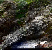 Potoroo Falls walk - Accommodation QLD