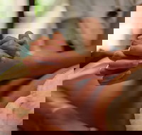 Prani Glow Day Spa - Accommodation QLD