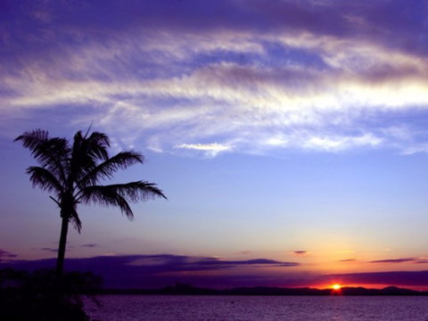 Quoin Island Retreat And Turtle Rehabilitation Centre - Accommodation QLD 0