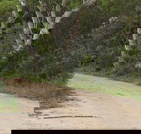 Riverview walking track - Accommodation QLD