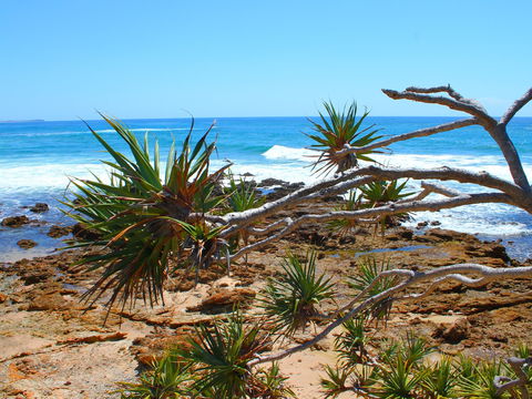 Rocky Point - Accommodation QLD 1