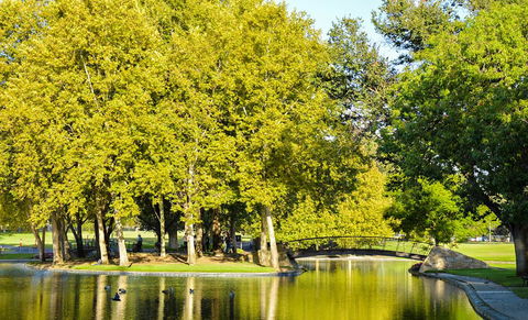 Rymill Park/Murlawirrapurka - Accommodation QLD 0