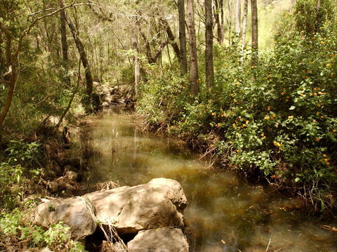 Sandy Creek Track - Accommodation QLD 0