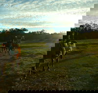 Scenic NSW Horse Riding Centre - Accommodation QLD