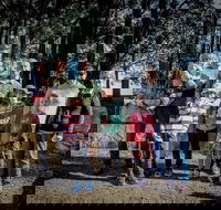 State Forests of the Watagan Mountains - Accommodation QLD