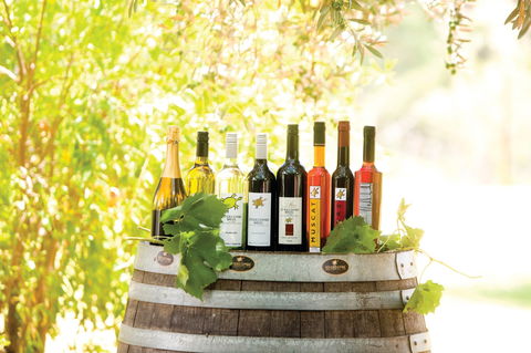 Swan Valley Bush Tucker And Beyond Trail - Accommodation QLD 2