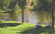 The Lions Junction Park - Tumut - thumb 0
