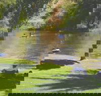 The Lions Junction Park - Tumut - Accommodation QLD
