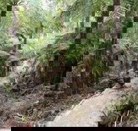 Upper Yarra Reservoir Park - Accommodation QLD