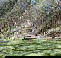 Wallaby Walking Track - Accommodation QLD